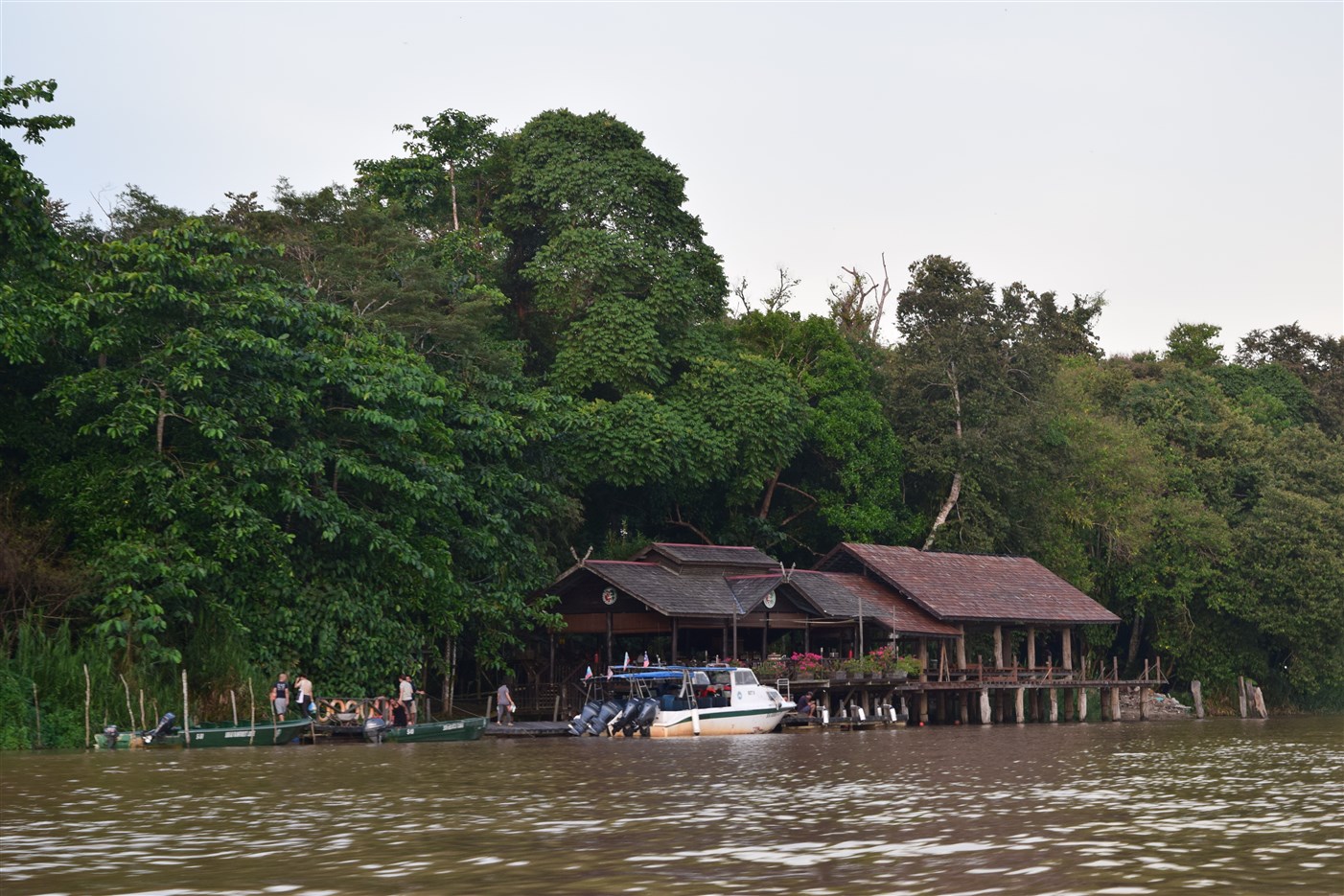 sukau rainforest resort (3)