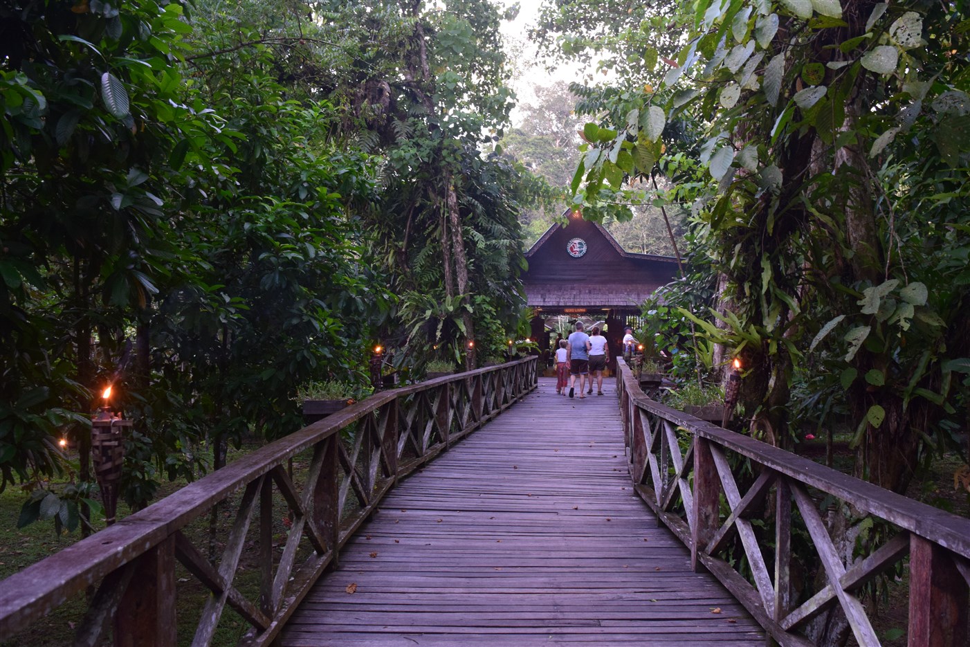 sukau rainforest resort (4)