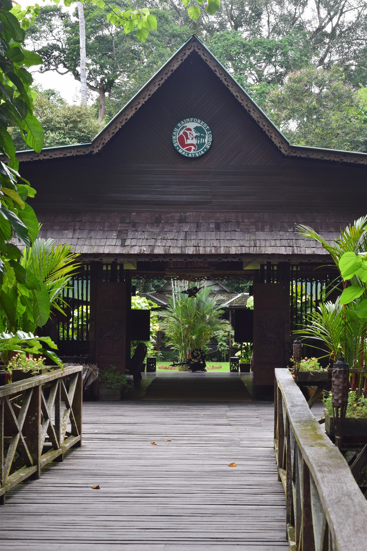 sukau rainforest resort (5)