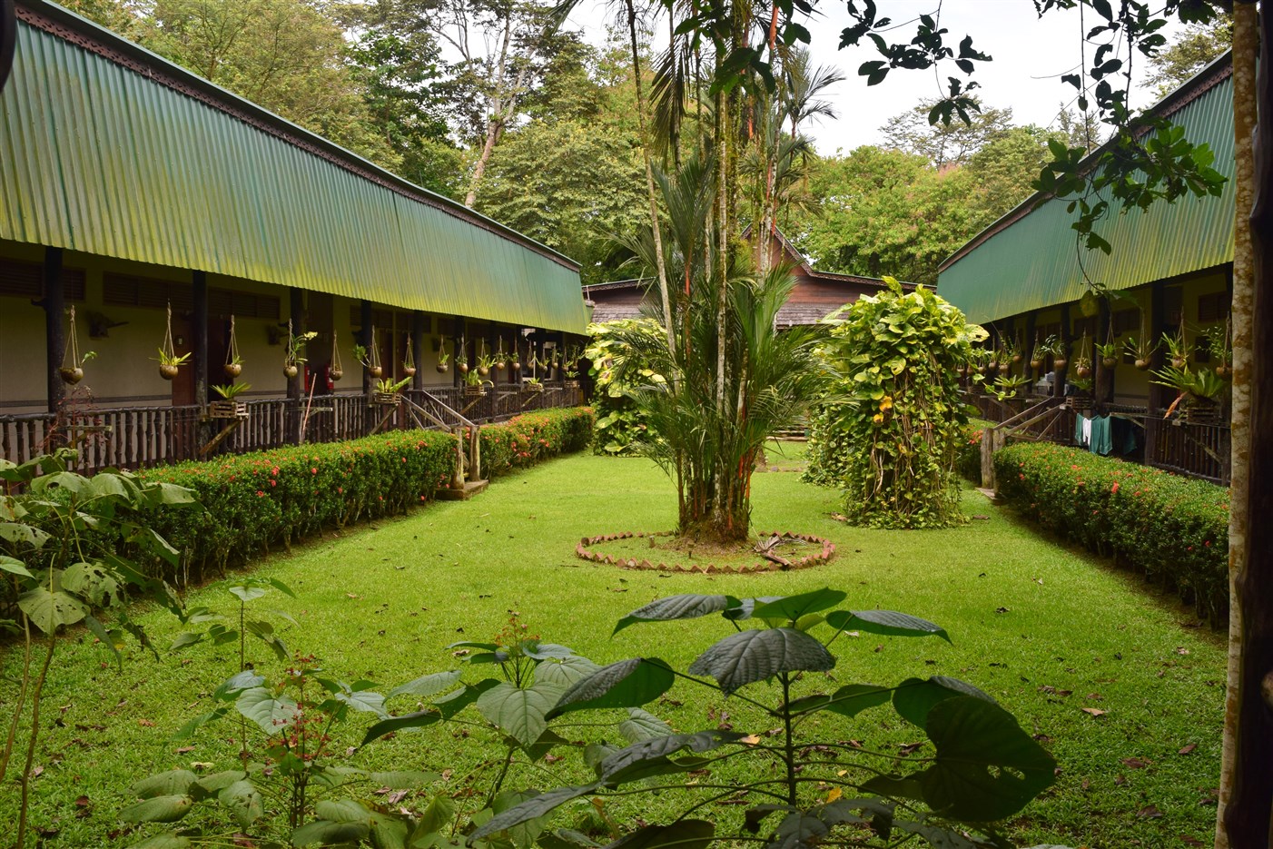 sukau rainforest resort (6)