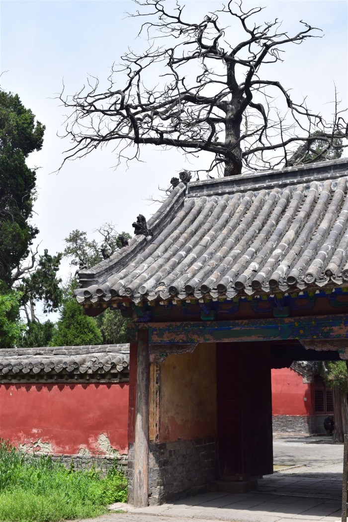 qufu shandong china (24)