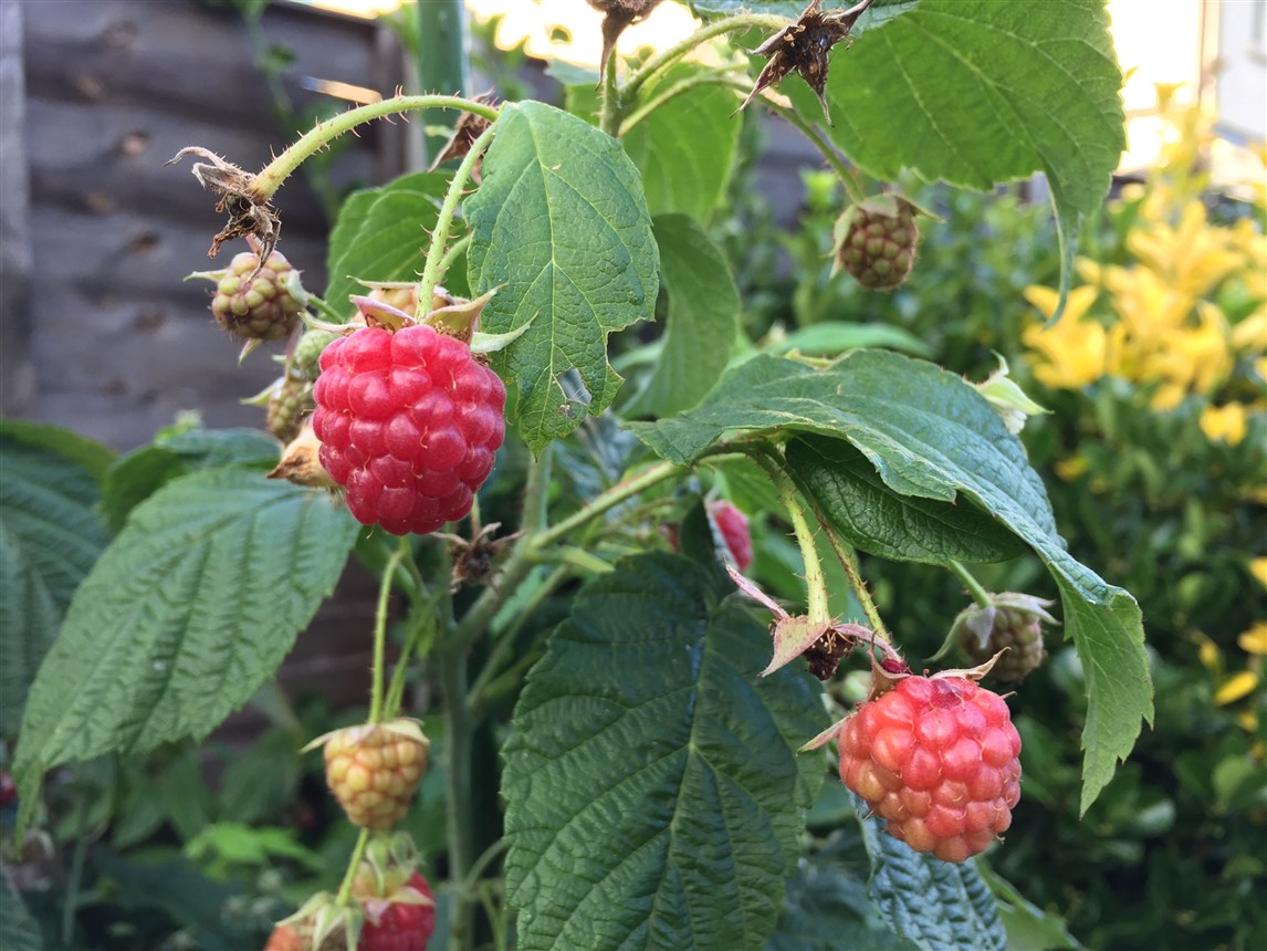 an eventful month in london (17)