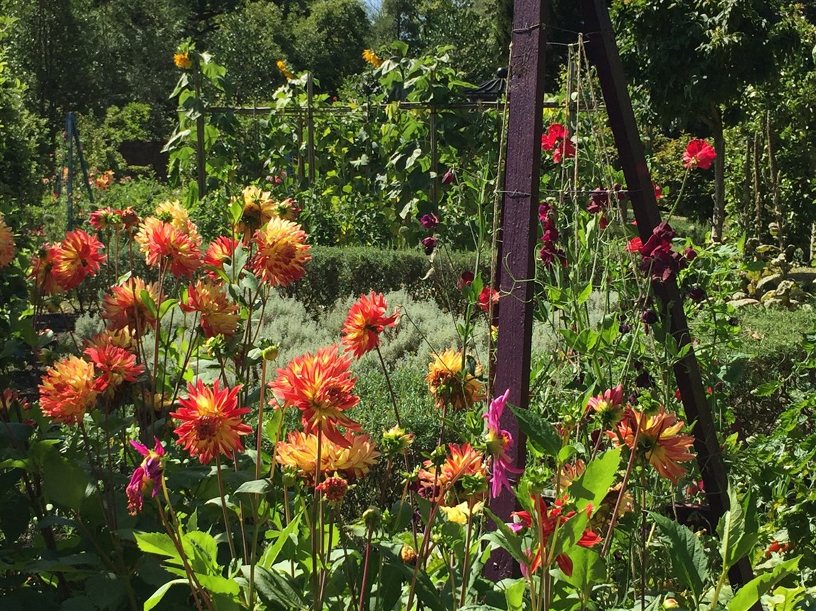 an eventful month in london (20)