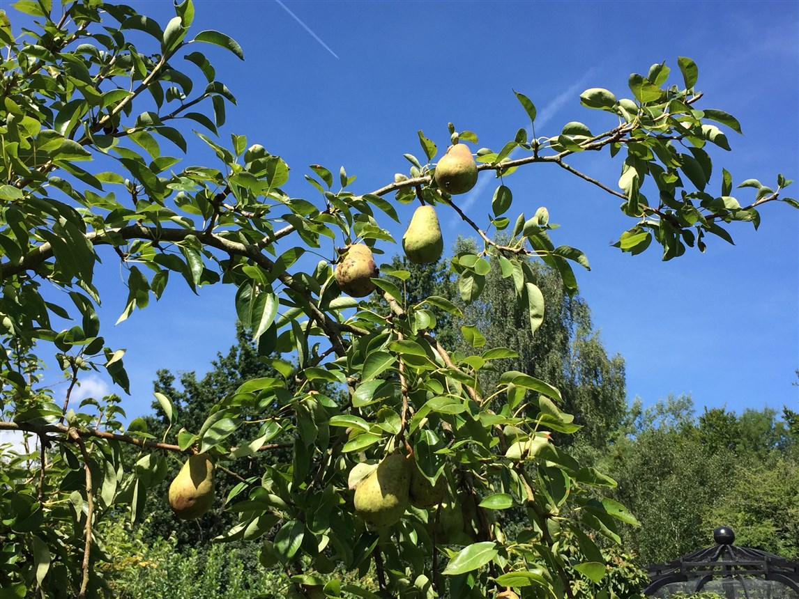 an eventful month in london (22)