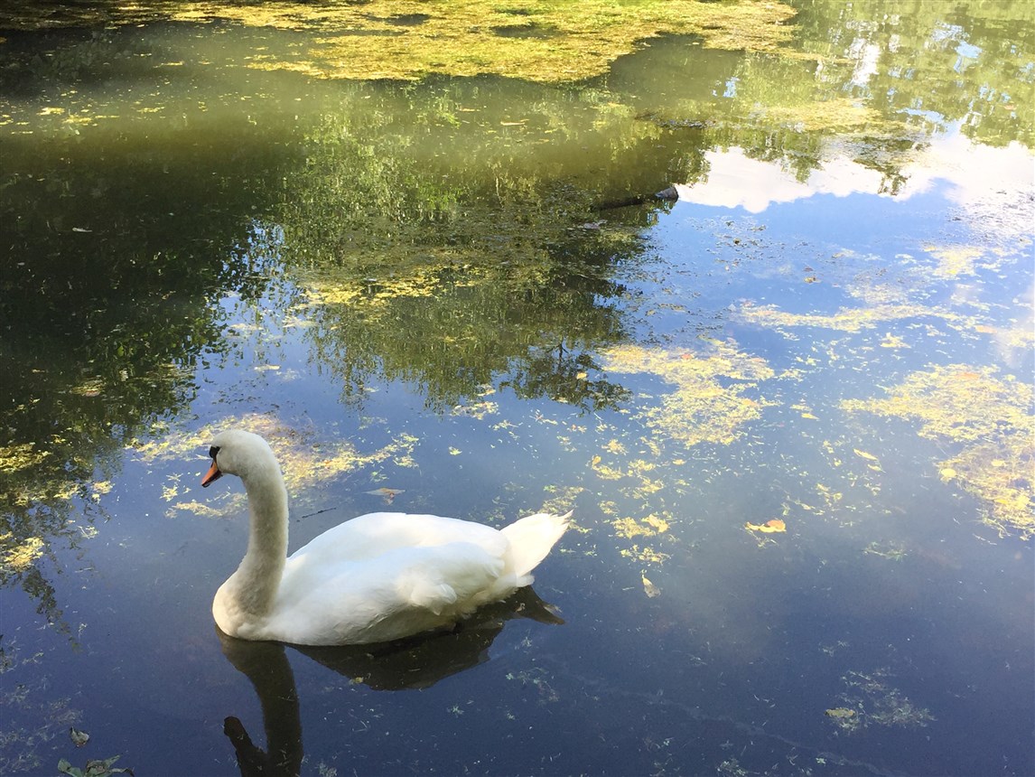 an eventful month in london (24)