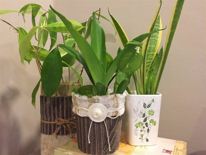 adaptability, living in new city