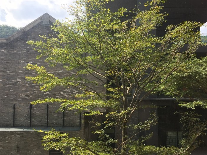 adaptability, living in new city