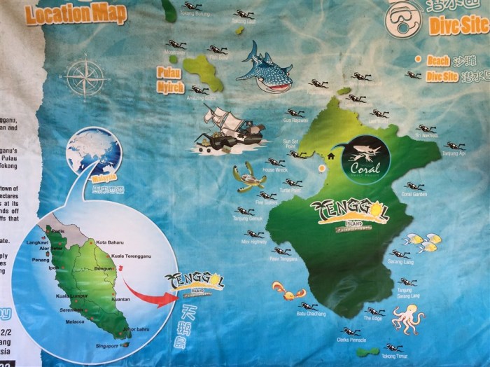 adaptability, living in new city, tenggol island