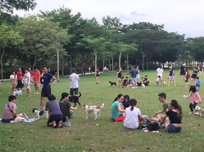 friends, variety of friends, variety is the spice of life, friendship