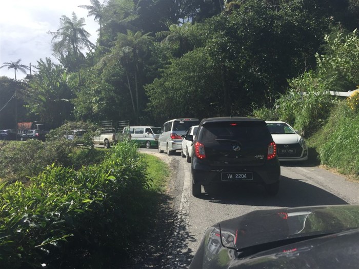 travel blog, trip to cameron highlands