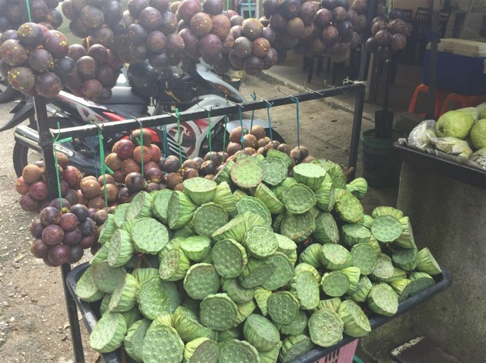 travel blog, trip to cameron highlands