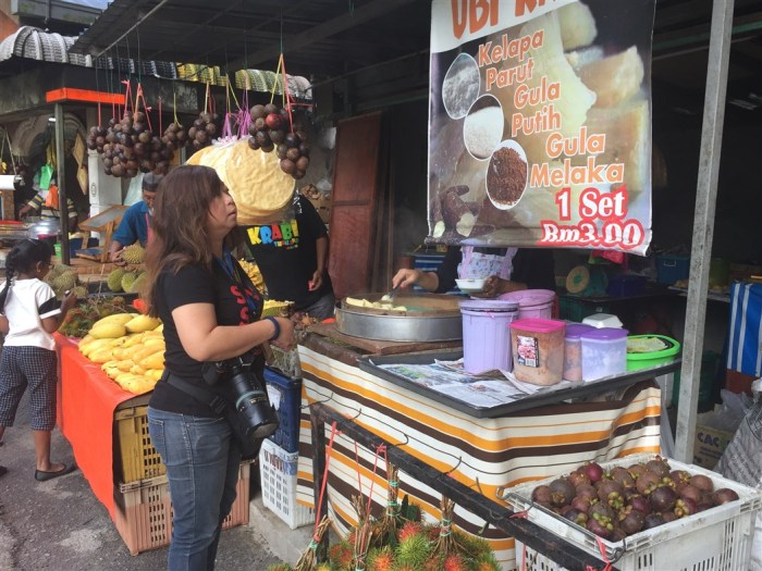 travel blog, trip to cameron highlands