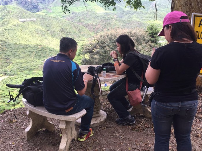 travel blog, trip to cameron highlands