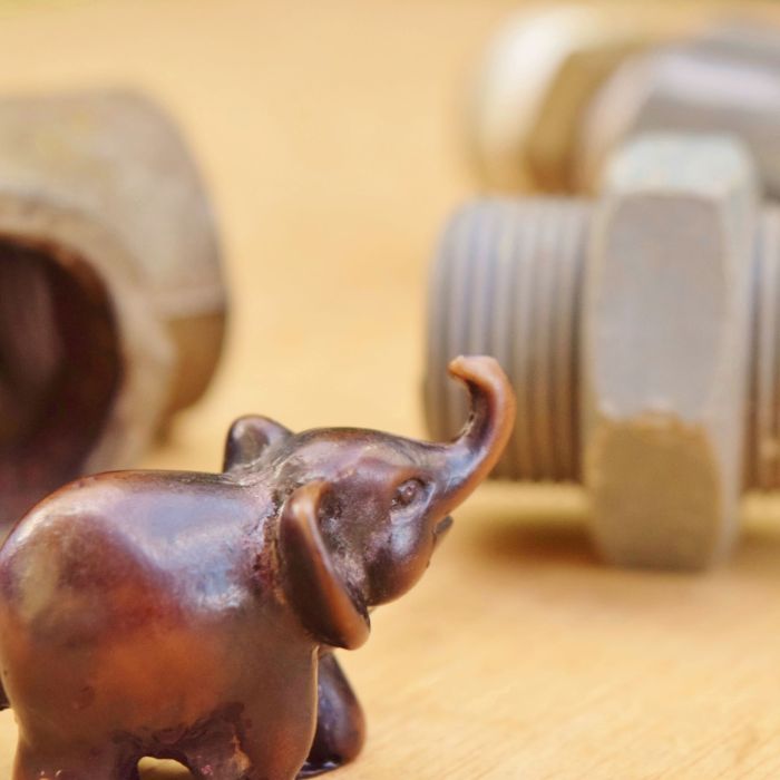 evon's elephantgraphy, covid-19 lockdown, funny take on life in convid-19 lockdown, journey of a little elephant