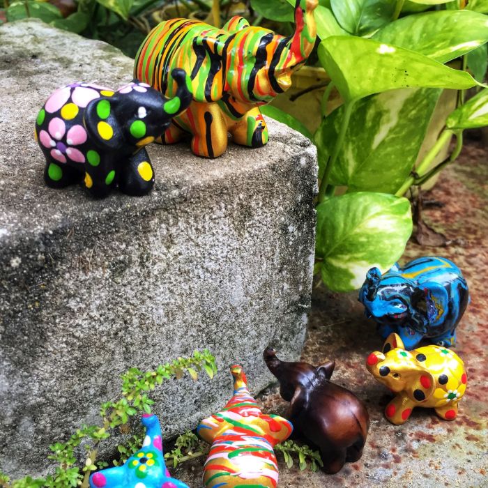 evon's elephantgraphy, covid-19 lockdown, funny take on life in convid-19 lockdown, journey of a little elephant