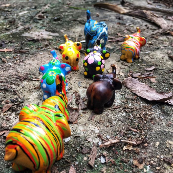 evon's elephantgraphy, covid-19 lockdown, funny take on life in convid-19 lockdown, journey of a little elephant