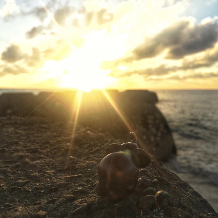 evon's elephantgraphy, covid-19 lockdown, funny take on life in convid-19 lockdown, journey of a little elephant