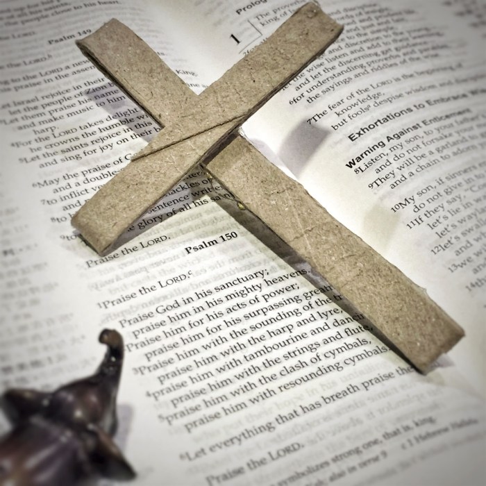 evon's elephantgraphy, covid-19 lockdown, funny take on life in convid-19 lockdown, journey of a little elephant