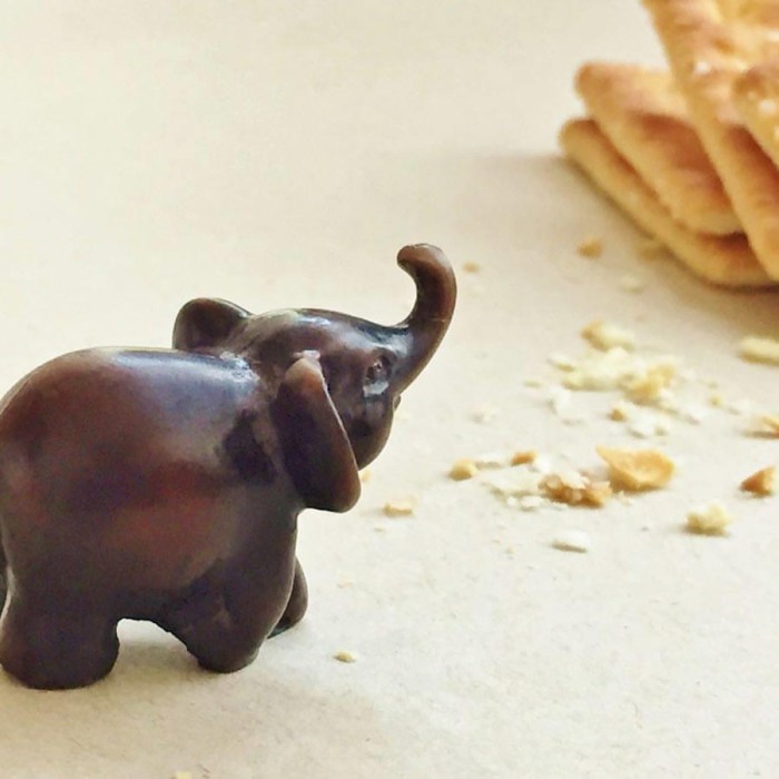 evon's elephantgraphy, covid-19 lockdown, funny take on life in convid-19 lockdown, journey of a little elephant