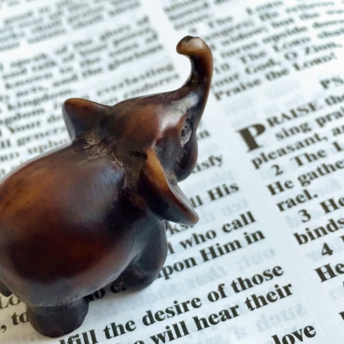 evon's elephantgraphy, covid-19 lockdown, funny take on life in convid-19 lockdown, journey of a little elephant