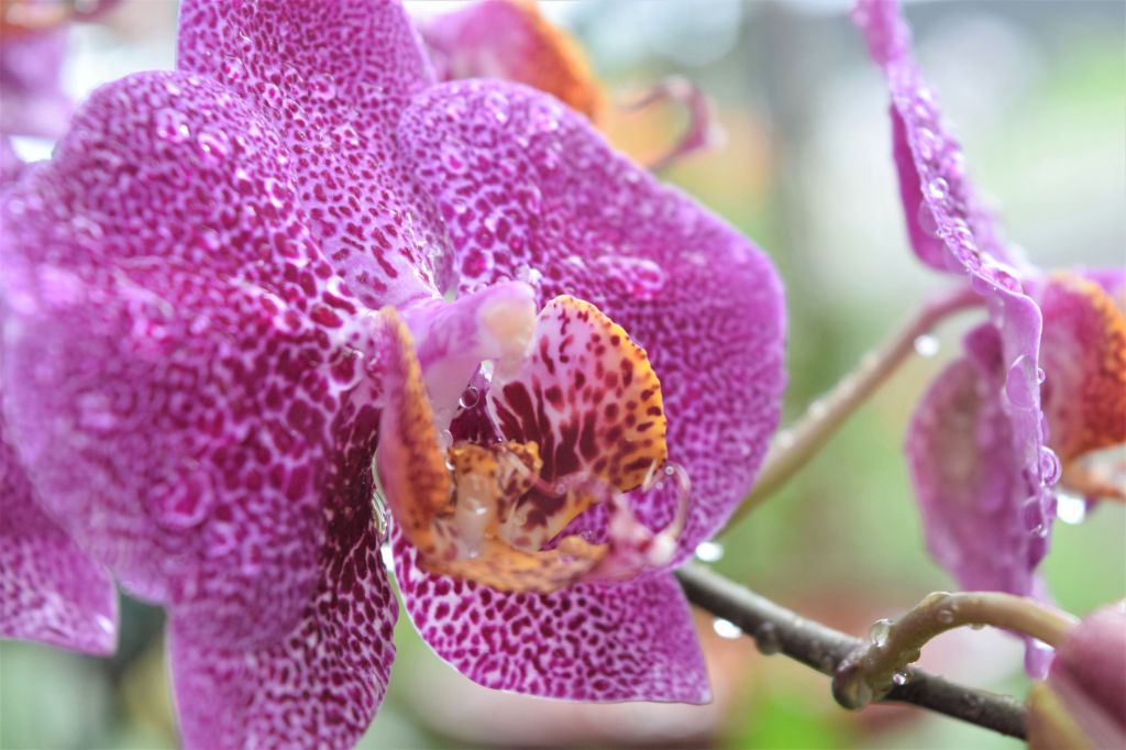 单身的艺术，單身生活不孤獨的人生