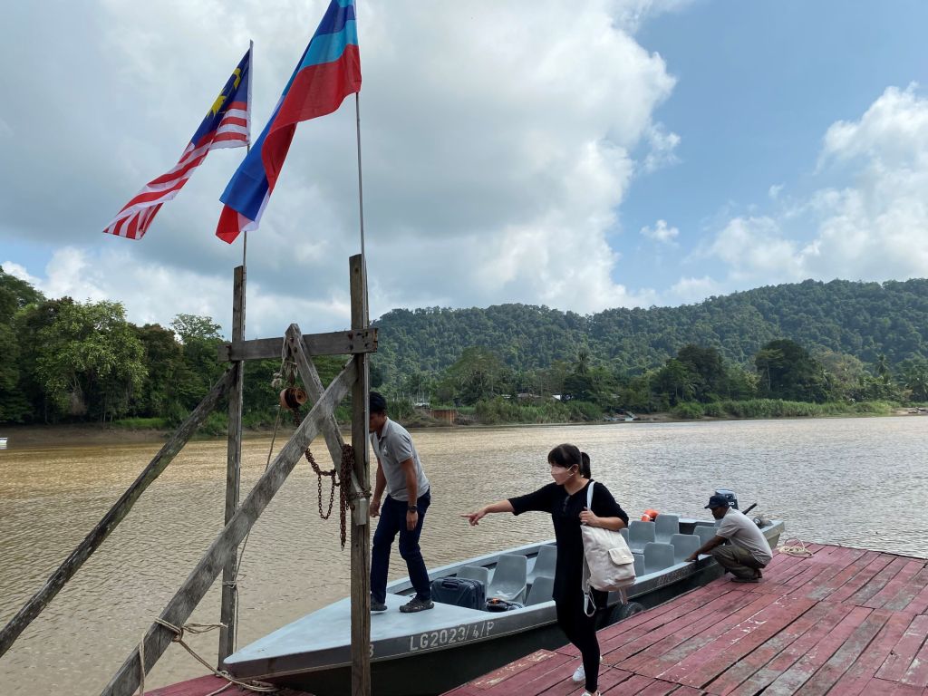 nature, tropical rainforest, nature lodge kinabatangan, sabah, sandakan, bornean wildlife, boat ride on kinabatangan, bornean pygmy elephants, jungle walk, jungle trekking, sepilok orangutans, sun bears