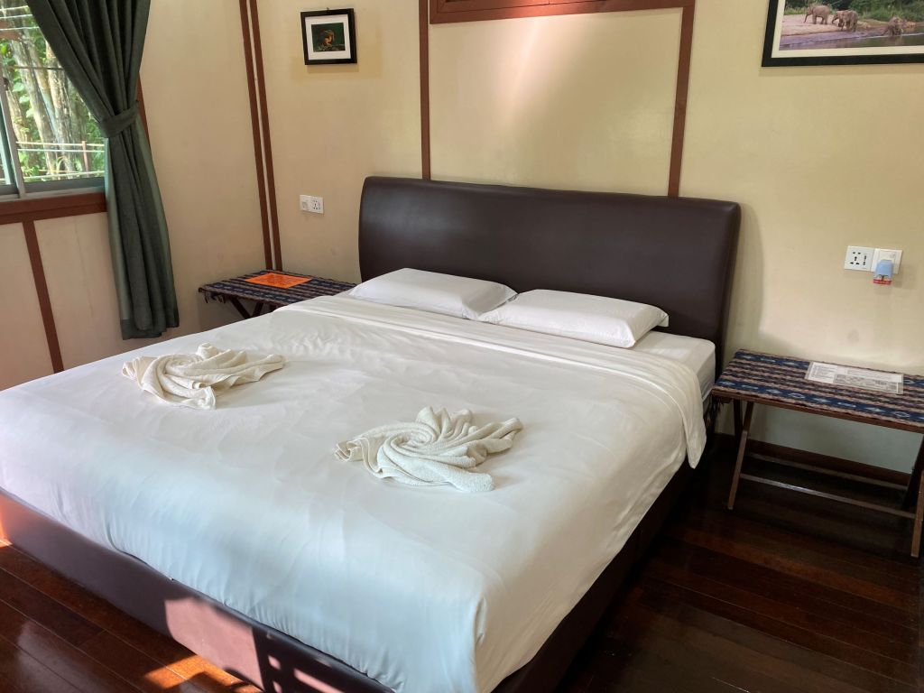 nature, tropical rainforest, nature lodge kinabatangan, sabah, sandakan, bornean wildlife, boat ride on kinabatangan, bornean pygmy elephants, jungle walk, jungle trekking, sepilok orangutans, sun bears