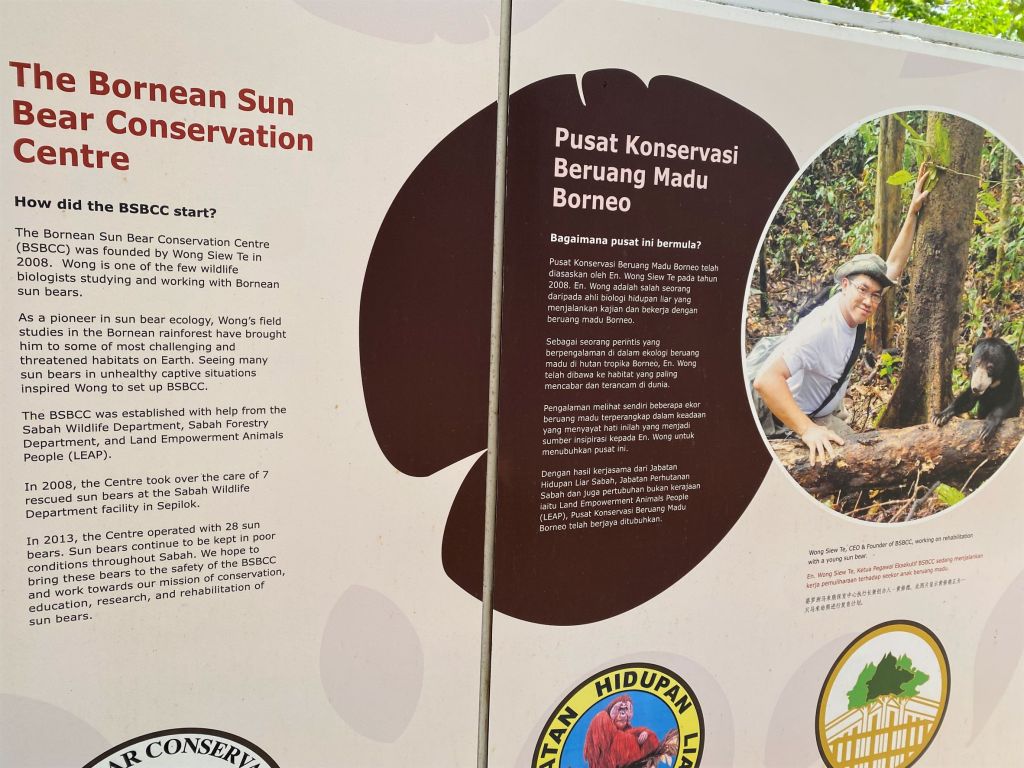 nature, tropical rainforest, nature lodge kinabatangan, sabah, sandakan, bornean wildlife, boat ride on kinabatangan, bornean pygmy elephants, jungle walk, jungle trekking, sepilok orangutans, sun bears