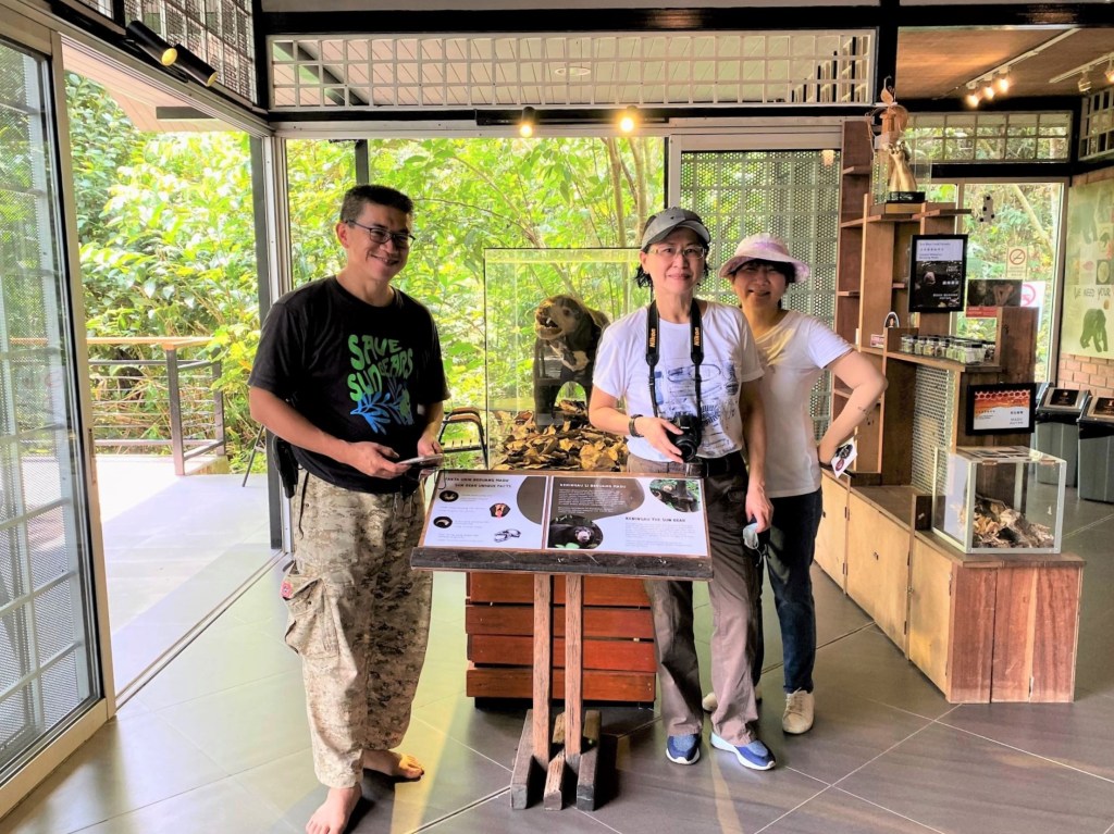 nature, tropical rainforest, nature lodge kinabatangan, sabah, sandakan, bornean wildlife, boat ride on kinabatangan, bornean pygmy elephants, jungle walk, jungle trekking, sepilok orangutans, sun bears