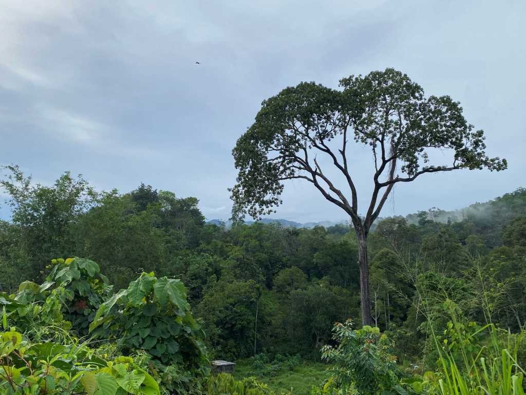 season of rest, healing in season of rest