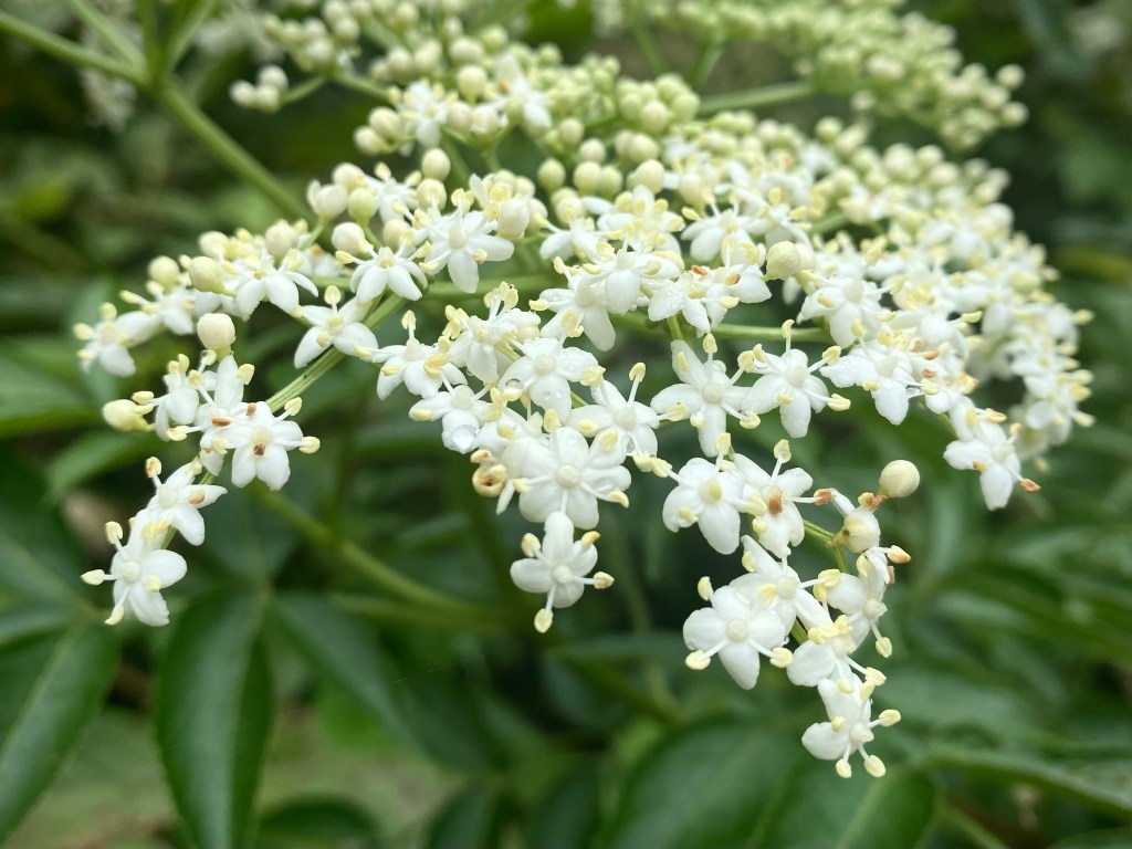 从容淡定的第二人生